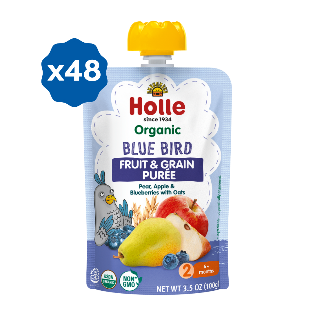 Organic Blue Bird Fruit & Grain Purée