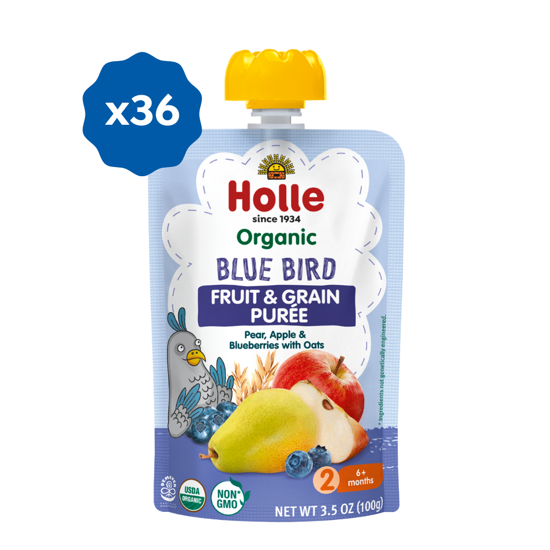 Organic Blue Bird Fruit & Grain Purée