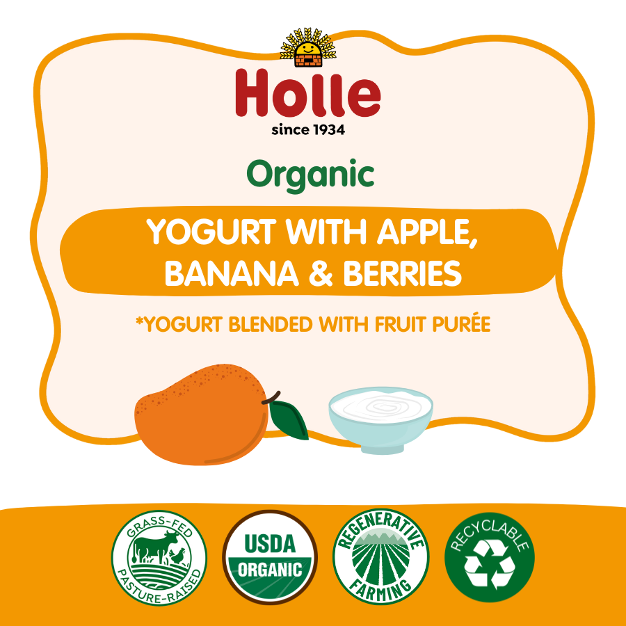 Holle Organic Yogurt Pouches - Mango