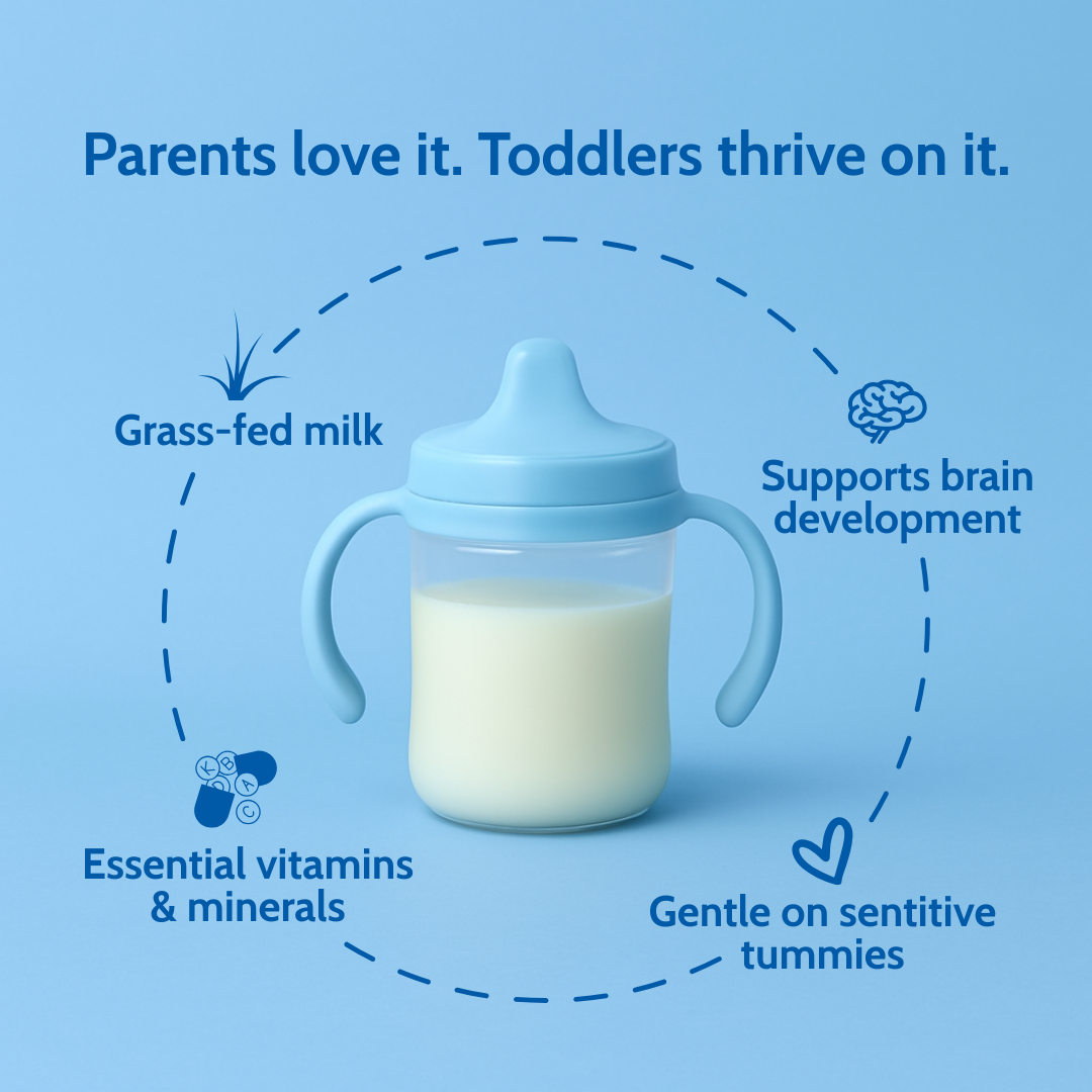 parents love it toddlers thrive on it