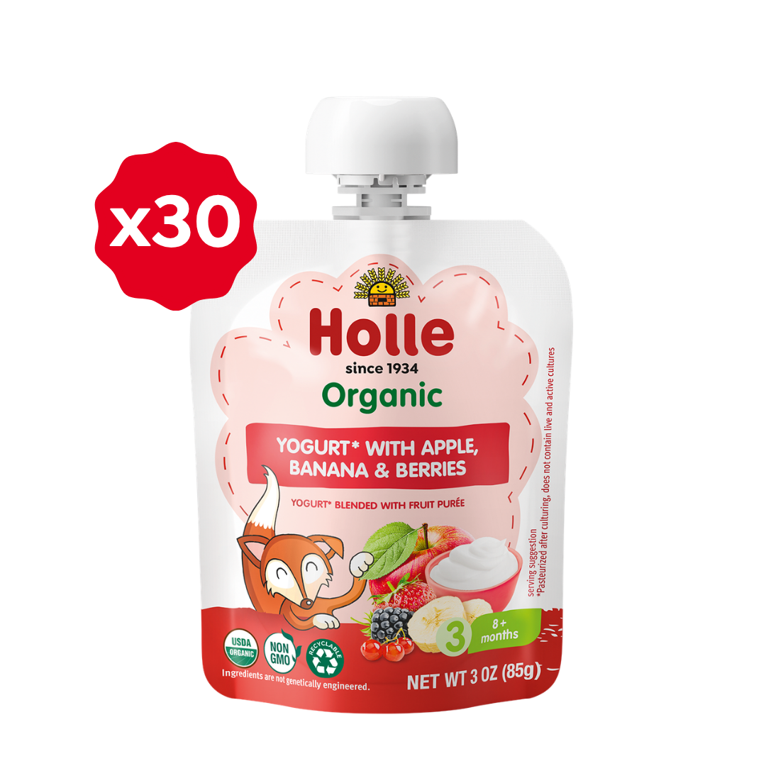 yogurt with apple banana and berries x30