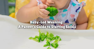 Baby-Led Weaning: A Parent’s Guide to Starting Solids