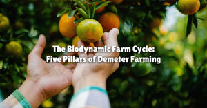 The Biodynamic Farm Cycle: Five Pillars of Demeter Farming