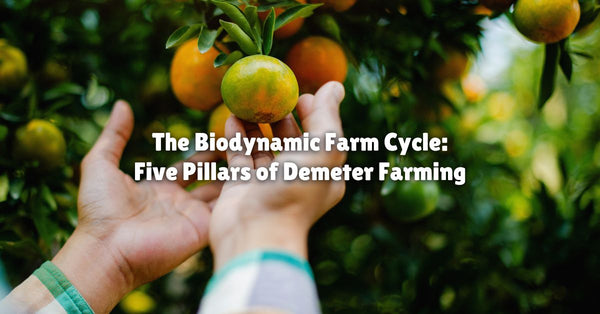 The Biodynamic Farm Cycle: Five Pillars of Demeter Farming