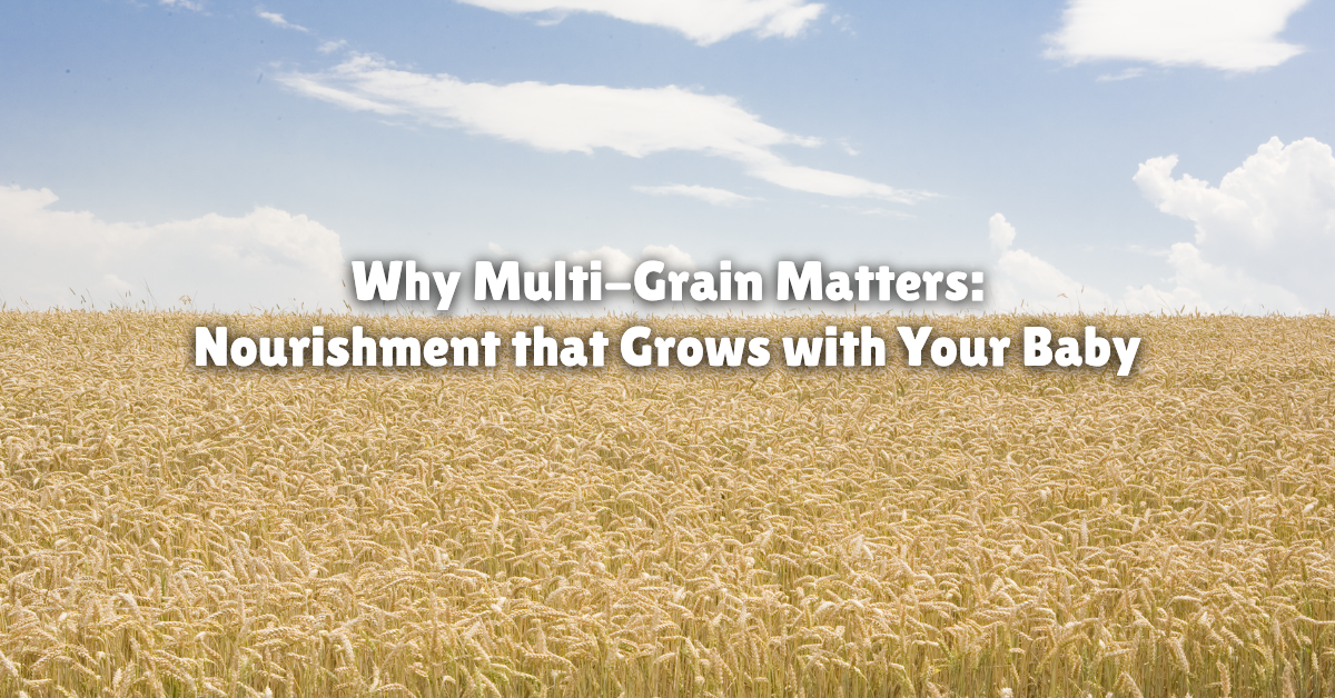 Why Multi-Grain Matters: Nourishment that Grows with Your Baby