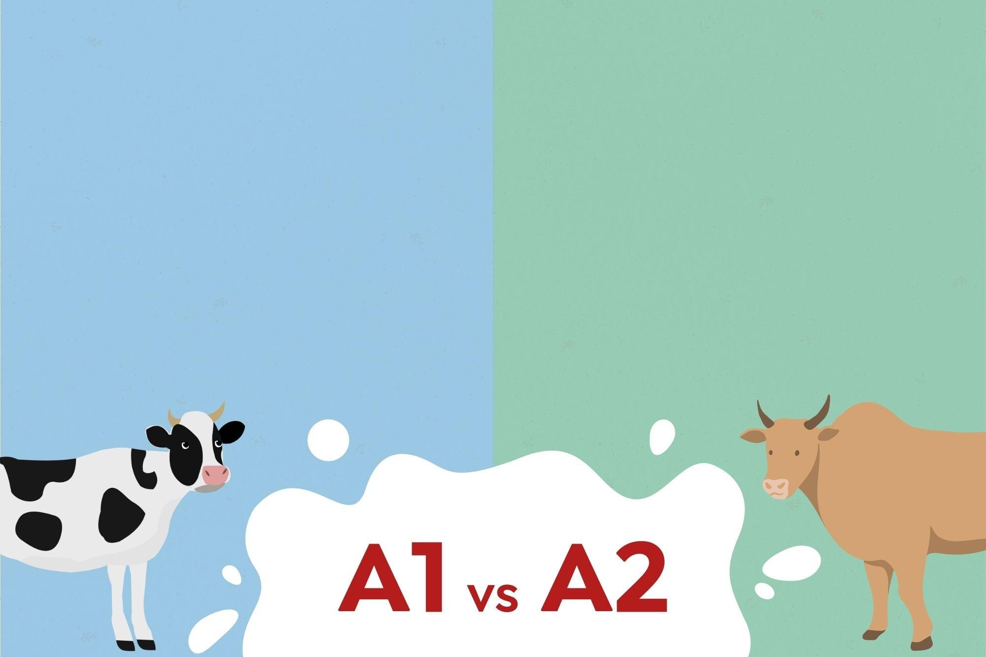 Everything You Want to Know About A2 Milk