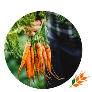 organic carrots