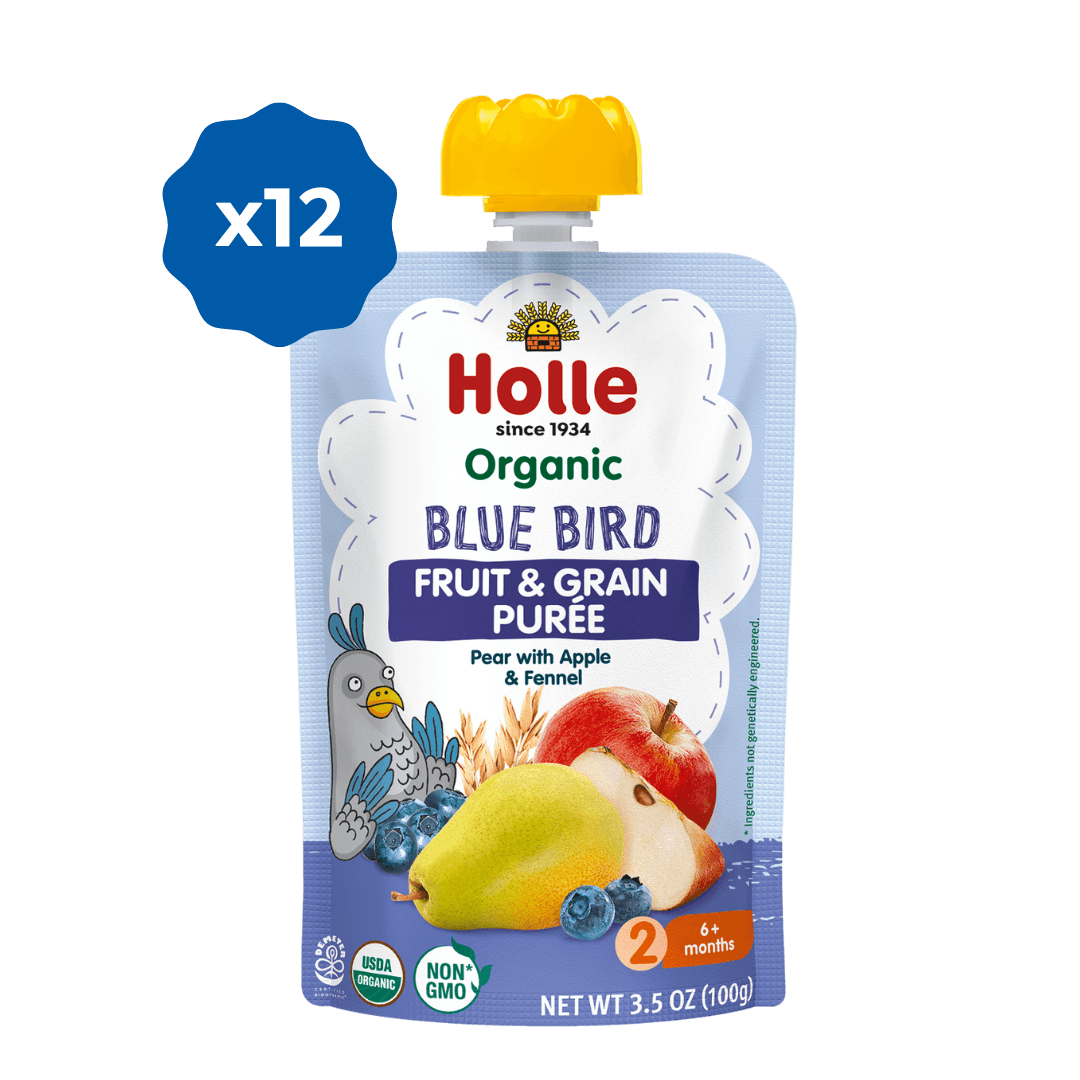 Holle Leche de Continuación A2 Organic 2 +6M 400G