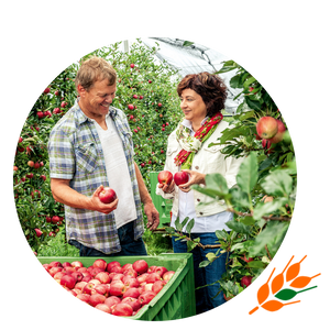 Holle apple farmers