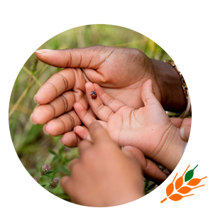 Mom and baby hands with bug