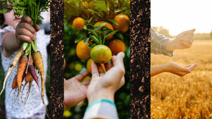 Biodynamic family farms