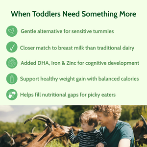 When Toddlers Need Something More: Closer match to breast milk than traditional dairy. Added DHA, Iron and Zinc. Helps fill nutritional gaps for picky eaters.