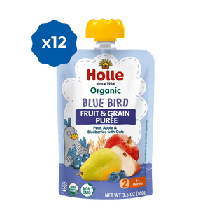blue bird hero image