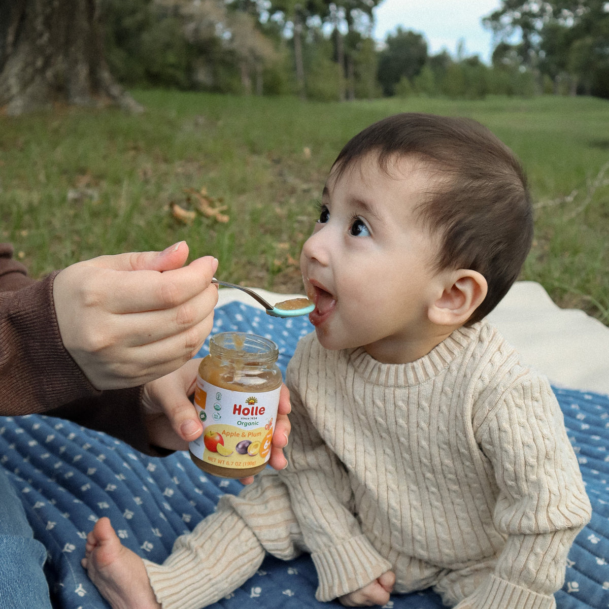 baby food jar apple and plum