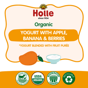 Holle Organic Mango Yogurt Pouches