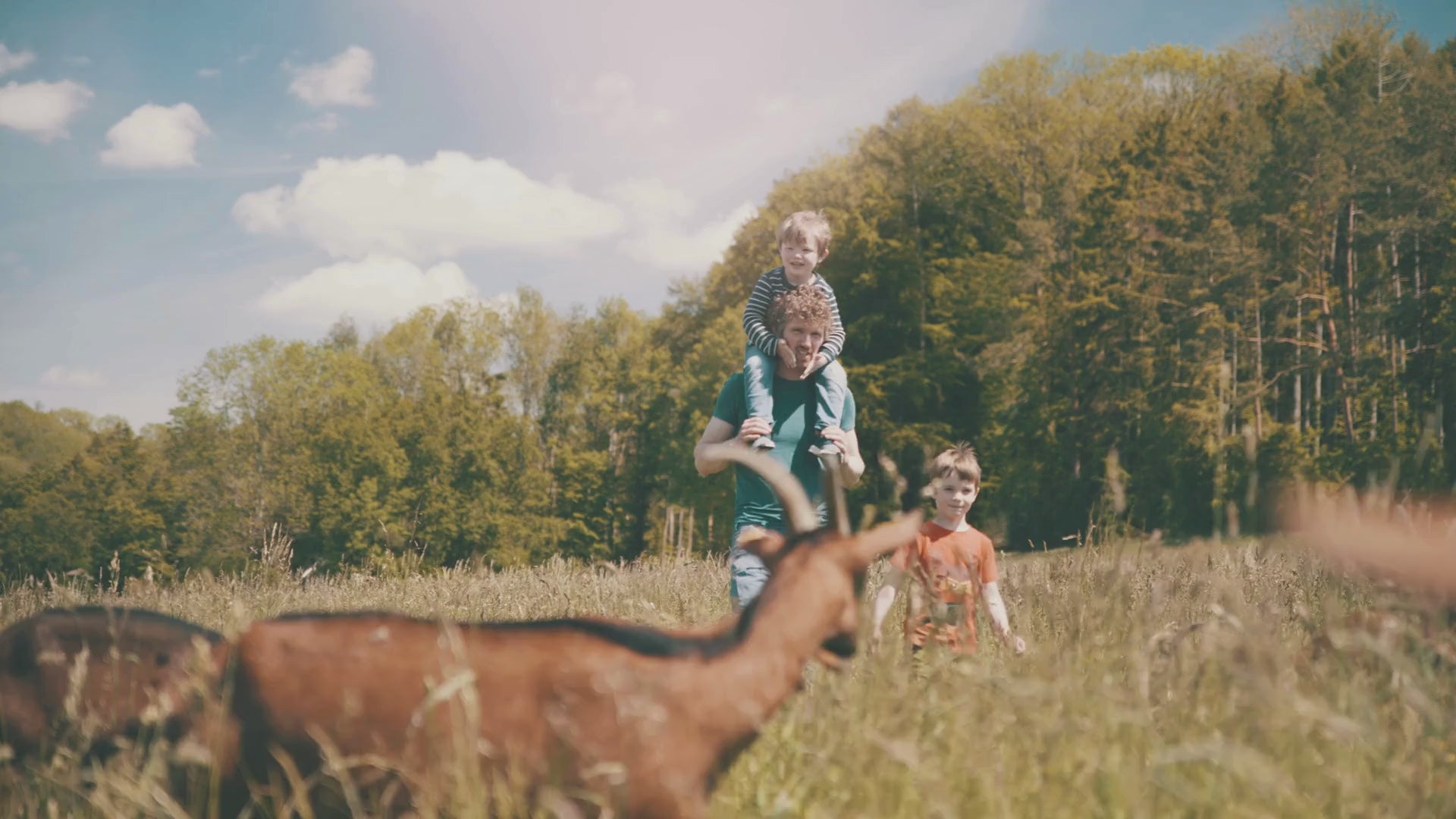 Video showing Holle family goat farm
